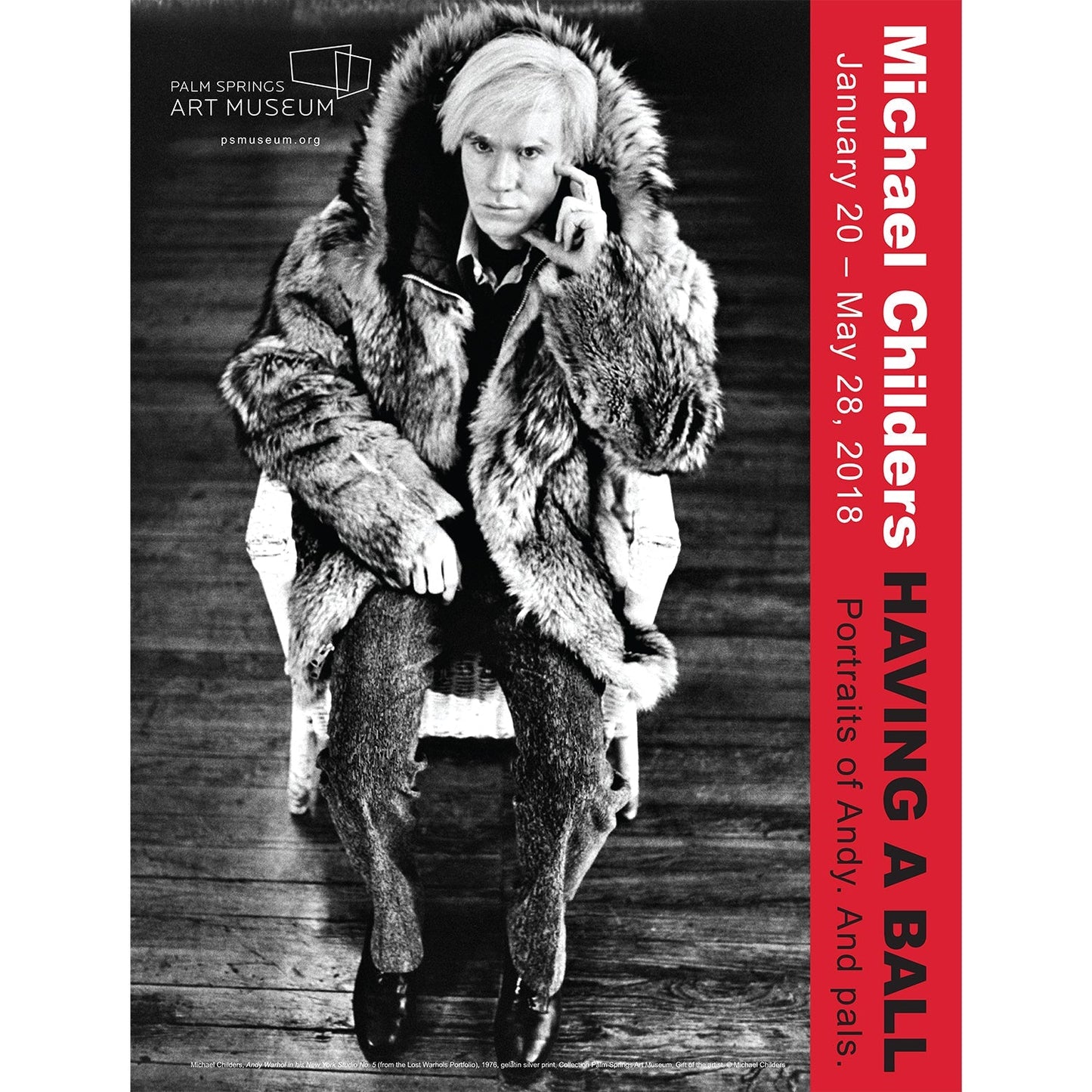 Michael Childers Having a Ball Art Museum Poster - Andy Warhol